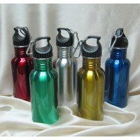 Stainless Steel Bottle